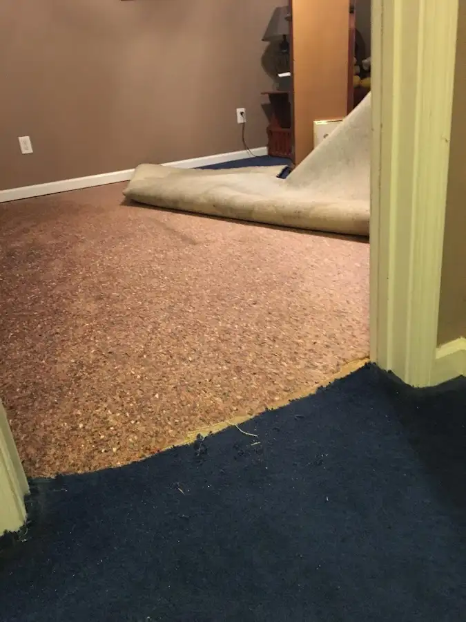 Carpet pad removal revealing water damage during Drying & Dehumidification in Vandalia